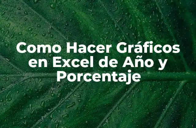 Como Hacer Gráficos en Excel de Año y Porcentaje