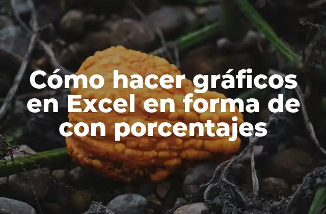 Cómo Hacer Gráficos en Excel en Forma de con Porcentajes