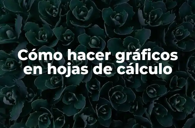 Cómo Hacer Gráficos en Hojas de Cálculo