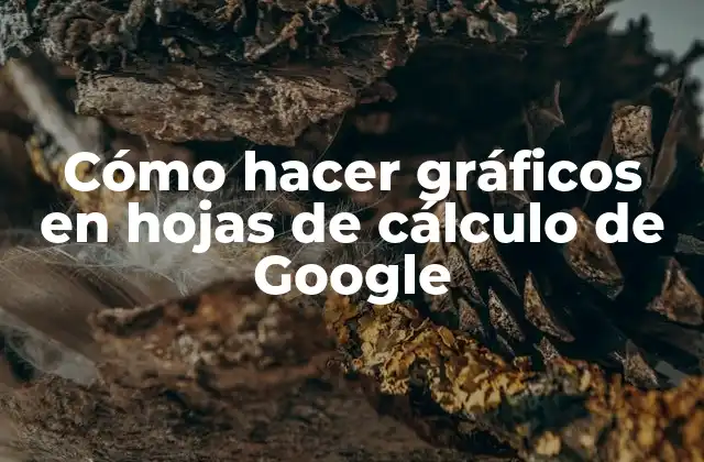 Cómo Hacer Gráficos en Hojas de Cálculo de Google