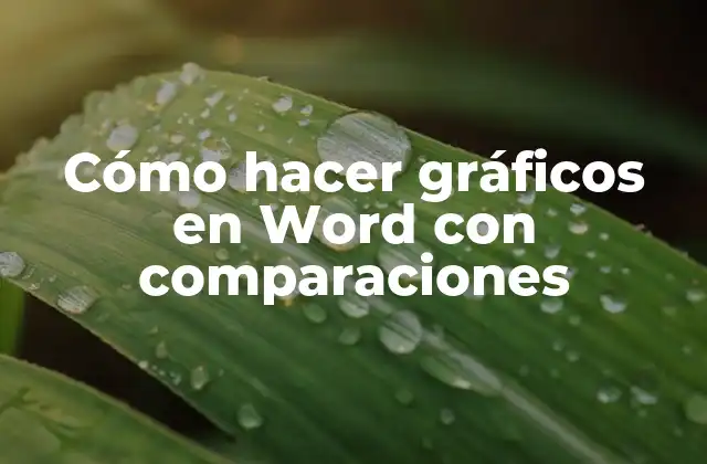 Cómo Hacer Gráficos en Word con Comparaciones 2 Cómo hacer gráficos en Word con comparaciones