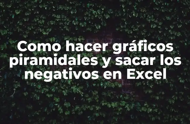 Como Hacer Gráficos Piramidales y Sacar los Negativos en Excel