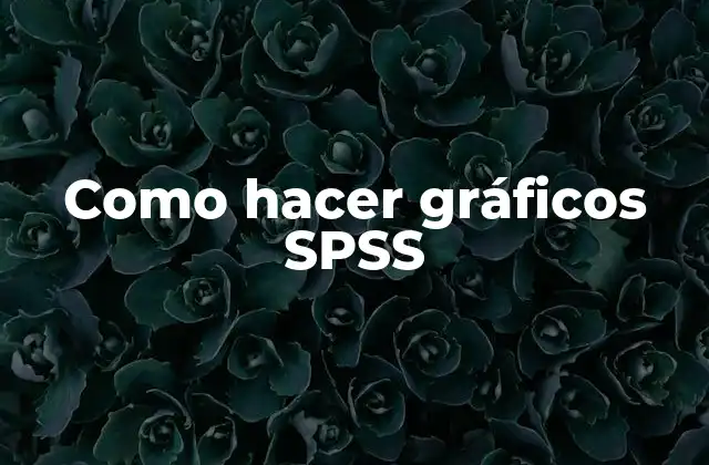 Como Hacer Gráficos Spss