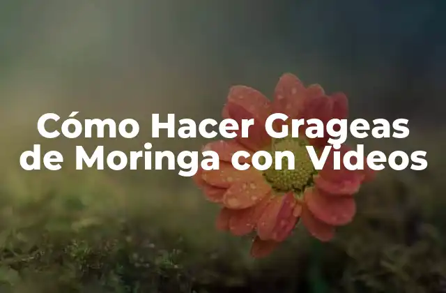 Cómo Hacer Grageas de Moringa con Videos