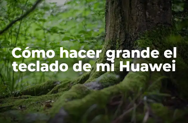 Cómo Hacer Grande el Teclado de Mi Huawei
