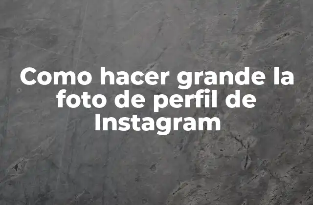 Como Hacer Grande la Foto de Perfil de Instagram
