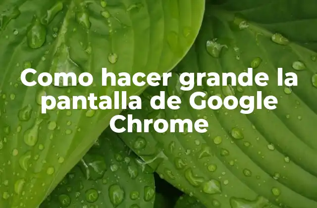 Como Hacer Grande la Pantalla de Google Chrome