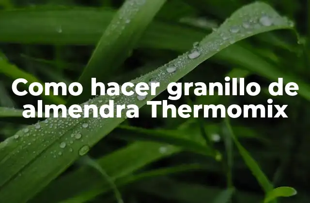 Como Hacer Granillo de Almendra Thermomix