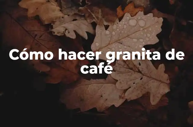Cómo Hacer Granita de Café