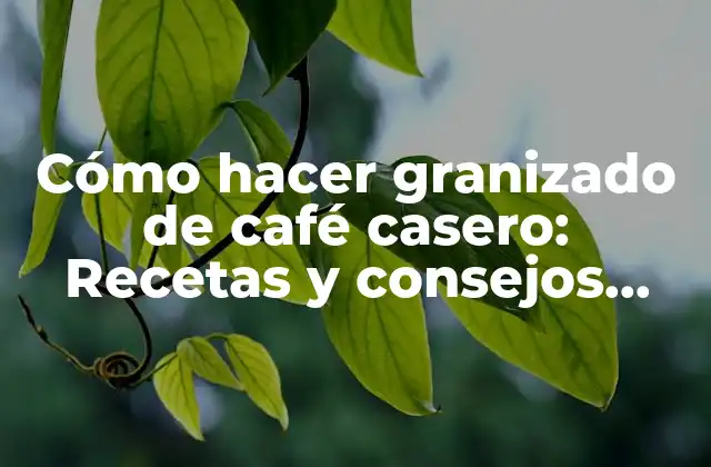 Historia del granizado de café