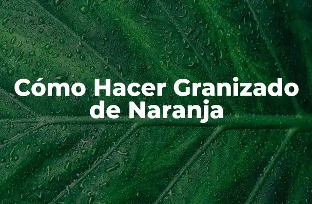 Cómo Hacer Granizado de Naranja