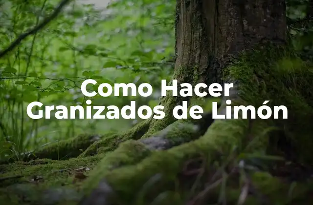 ¿Qué son los Granizados de Limón?