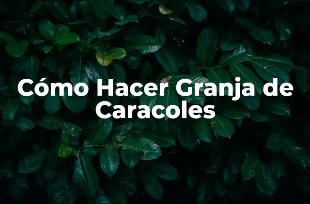 Cómo Hacer Granja de Caracoles