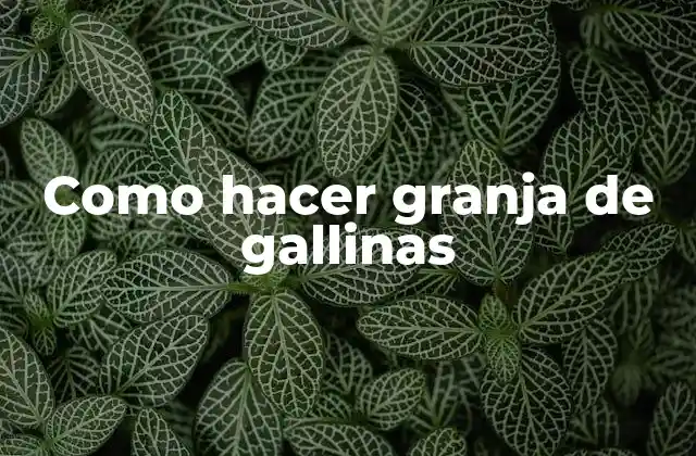 Como Hacer Granja de Gallinas