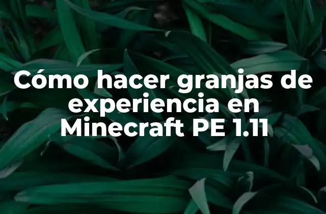 Cómo Hacer Granjas de Experiencia en Minecraft Pe 1.11