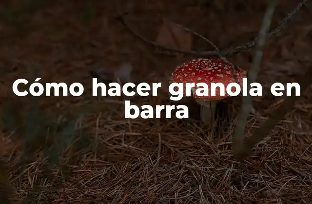 Cómo Hacer Granola en Barra
