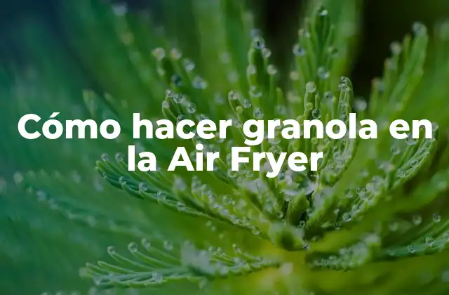 Cómo Hacer Granola en la Air Fryer