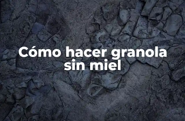 Cómo Hacer Granola sin Miel