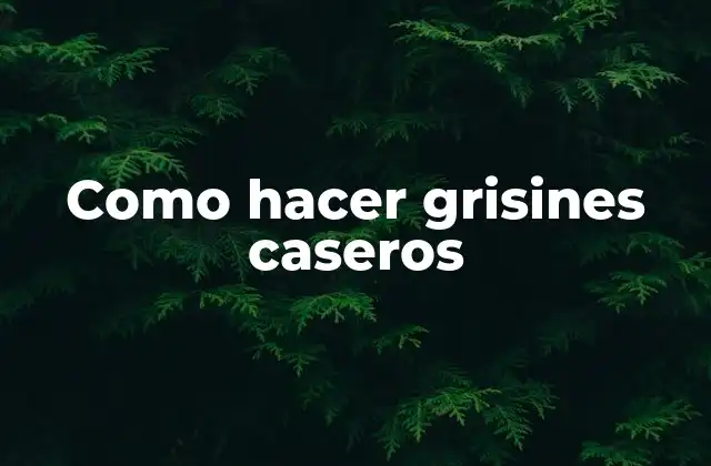 Como Hacer Grisines Caseros 2 ¿Qué son los grisines caseros?