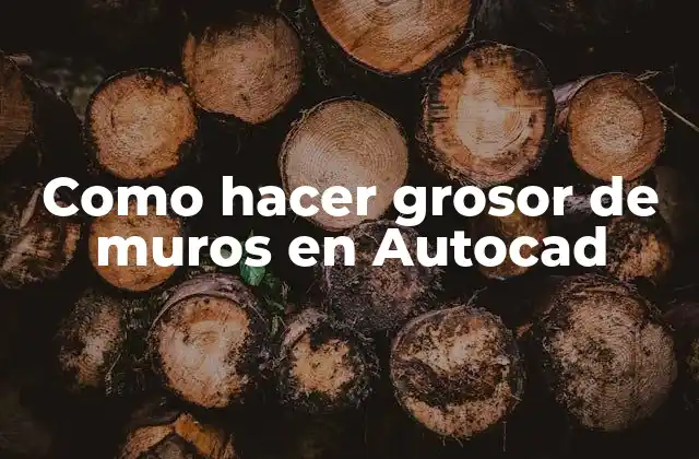Como Hacer Grosor de Muros en Autocad