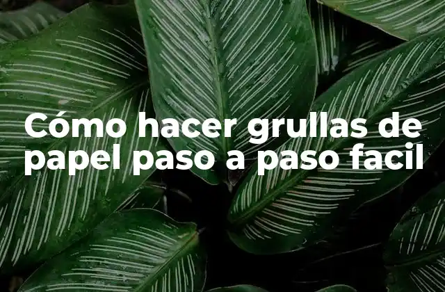 Cómo Hacer Grullas de Papel Paso a Paso Facil