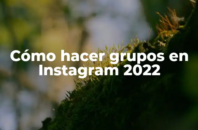 Cómo Hacer Grupos en Instagram 2022