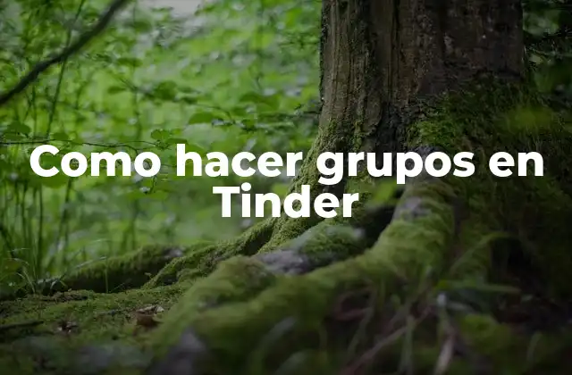 Como Hacer Grupos en Tinder 2 ¿Qué son los grupos en Tinder y para qué sirven?