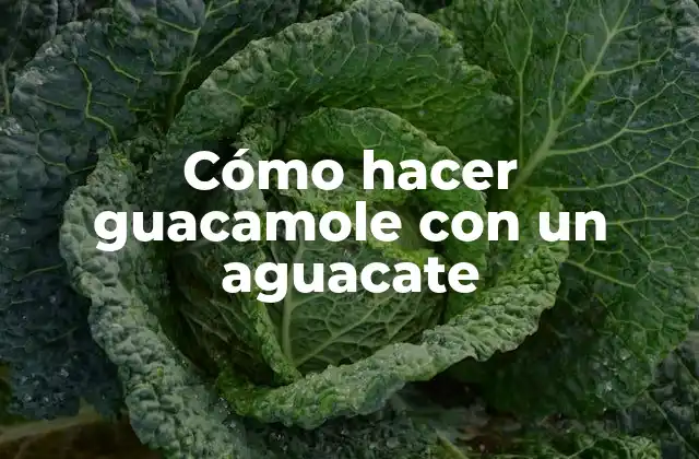 Cómo Hacer Guacamole con un Aguacate