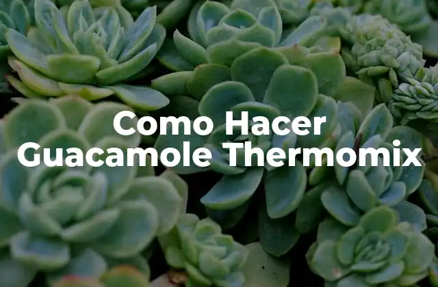 Como Hacer Guacamole Thermomix