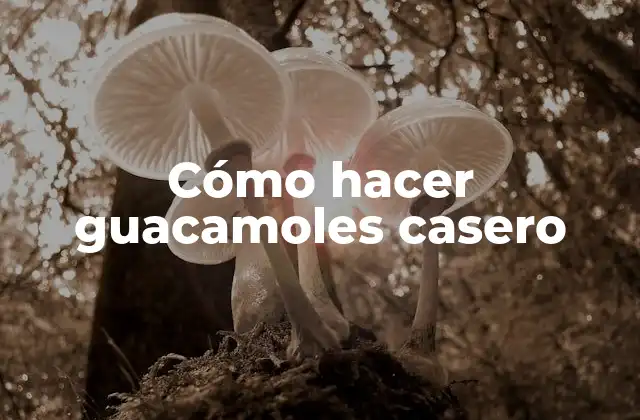 Cómo Hacer Guacamoles Casero
