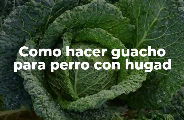 Como Hacer Guacho para Perro con Hugad