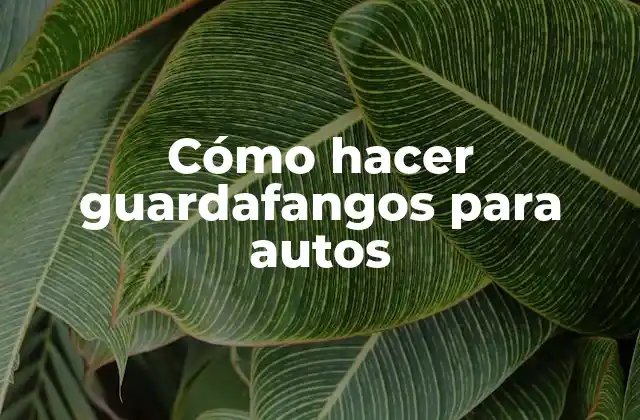 Cómo Hacer Guardafangos para Autos