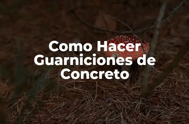 Como Hacer Guarniciones de Concreto