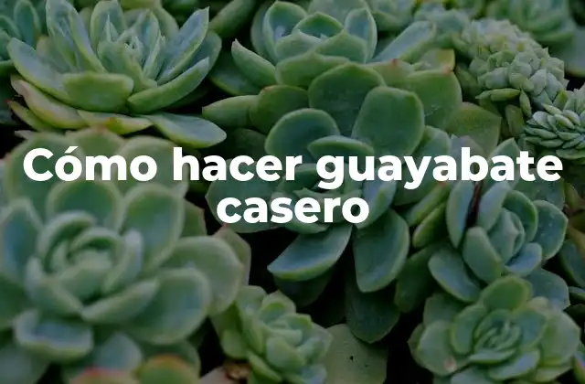 Cómo Hacer Guayabate Casero 2 Cómo hacer guayabate casero