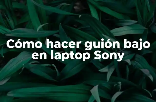 Cómo Hacer Guión bajo en Laptop Sony