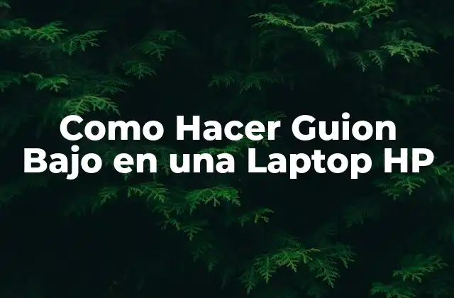 Como Hacer Guion bajo en una Laptop Hp