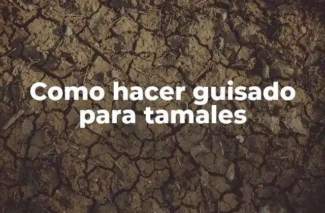 Como Hacer Guisado para Tamales