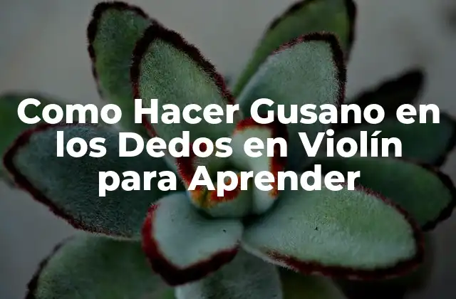 Qué es el Gusano en el Violín y para Qué Sirve