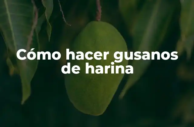 Cómo Hacer Gusanos de Harina