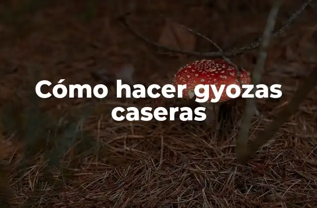 Cómo Hacer Gyozas Caseras