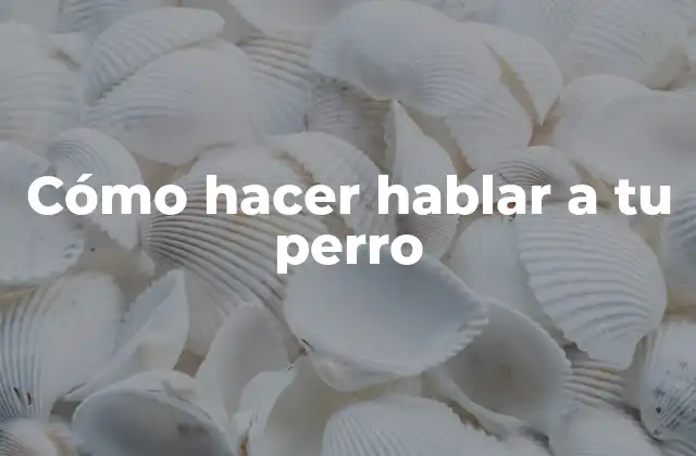 Cómo hacer hablar a tu perro