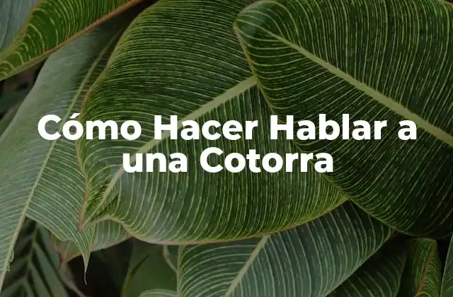 Cómo Hacer Hablar a una Cotorra