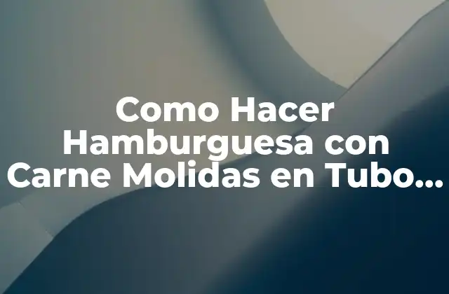 Como Hacer Hamburguesa con Carne Molidas en Tubo Winter