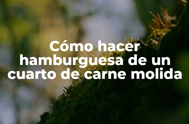 Cómo Hacer Hamburguesa de un Cuarto de Carne Molida
