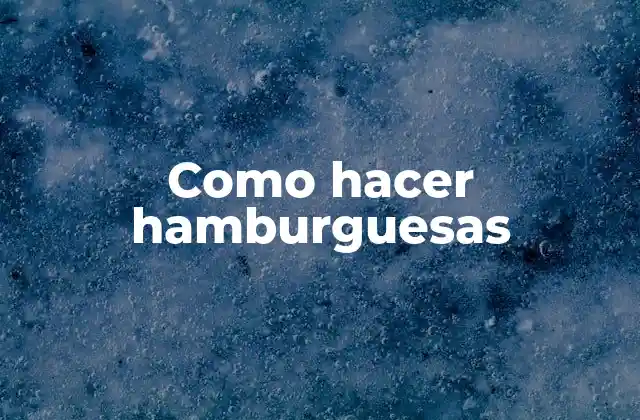 Qué son las hamburguesas y cómo se utilizan