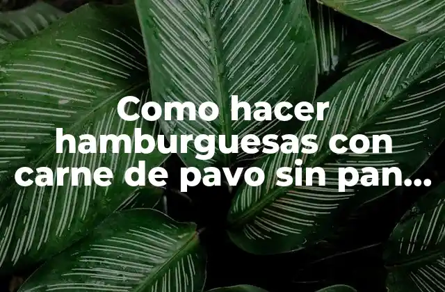 Como Hacer Hamburguesas con Carne de Pavo sin Pan Rallado