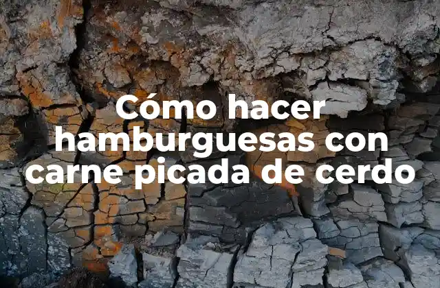 Cómo Hacer Hamburguesas con Carne Picada de Cerdo 2 Cómo hacer hamburguesas con carne picada de cerdo