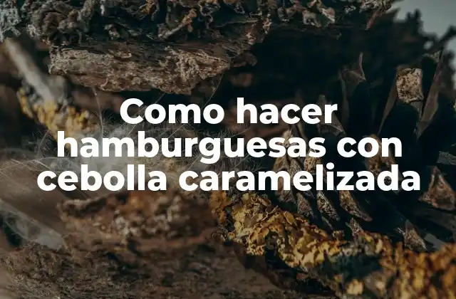 Como Hacer Hamburguesas con Cebolla Caramelizada 2 Qué son las hamburguesas con cebolla caramelizada y por qué son tan populares