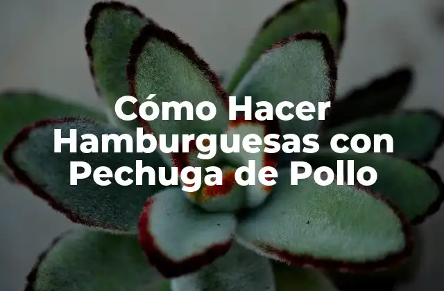 ¿Qué son las Hamburguesas con Pechuga de Pollo?