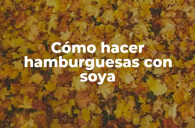 Cómo Hacer Hamburguesas con Soya 2 ¿Qué son las hamburguesas con soya y para qué sirven?